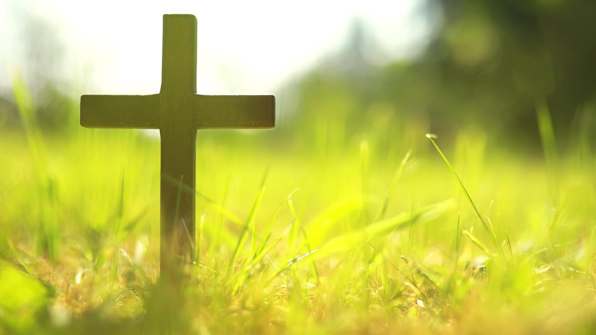 하성교회 예배 현장 1